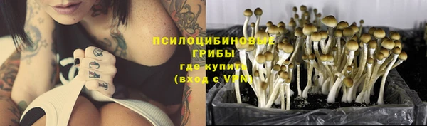a pvp Майский