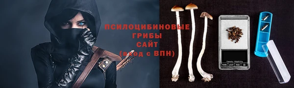 спайс Липки