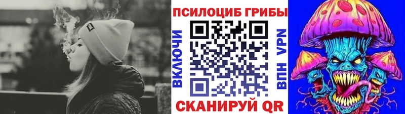 Купить где  Верхоянск  Галлюциногенные грибы Psilocybe 