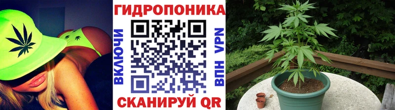 Бошки марихуана VHQ Верхоянск